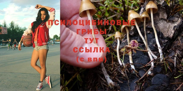 мескалин Абинск