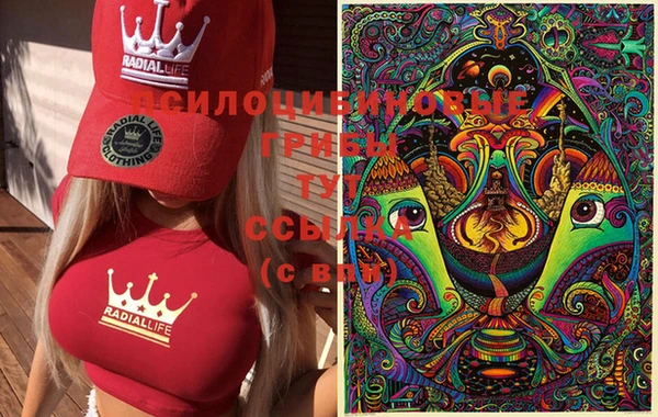 ГАЛЛЮЦИНОГЕННЫЕ ГРИБЫ Абдулино