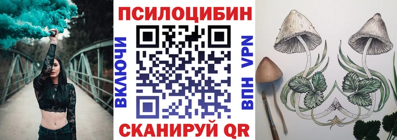 blacksprut вход  как найти закладки  Фрязино  Псилоцибиновые грибы Cubensis 