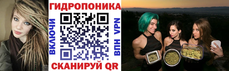 ссылка на мегу зеркало  Фрязино  Бошки Шишки конопля 