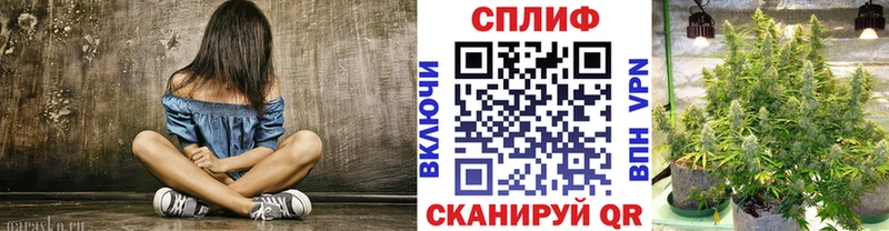 МАРИХУАНА план Фрязино